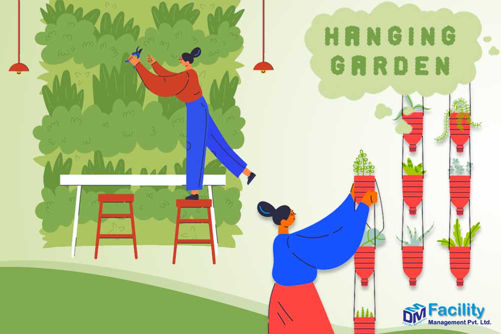 STEPS TO GROW A HANGING GARDEN